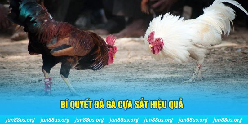 sunwin20 nổ hũ may mắn