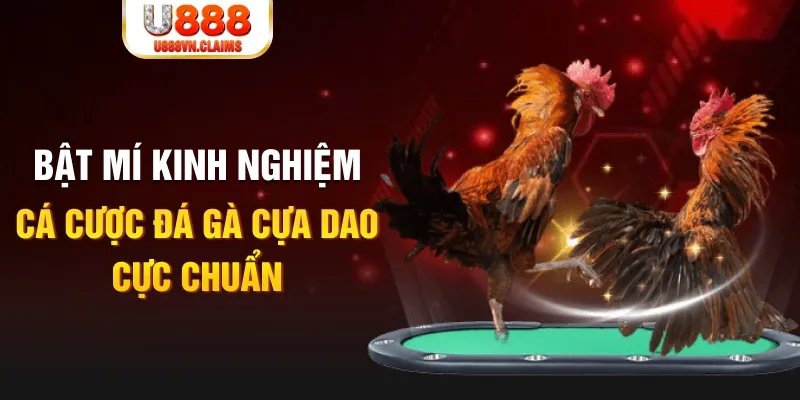 sunwin20 casino hồ tràm có cho người việt vào không