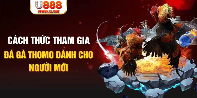 sunwin20 truc tiep da ga