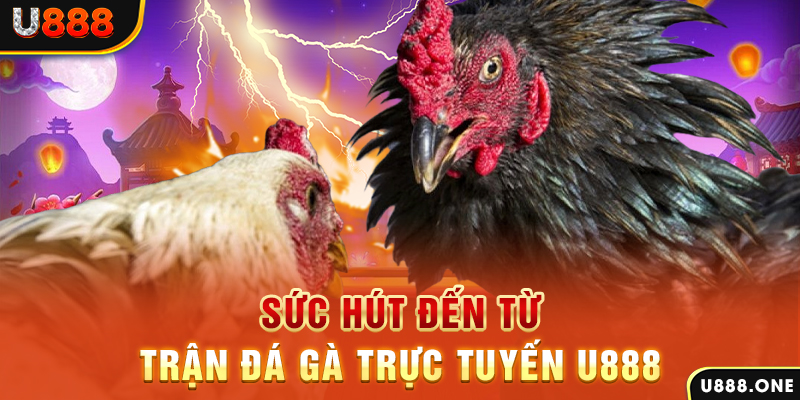 sunwin20 đăng nhập poker 2024