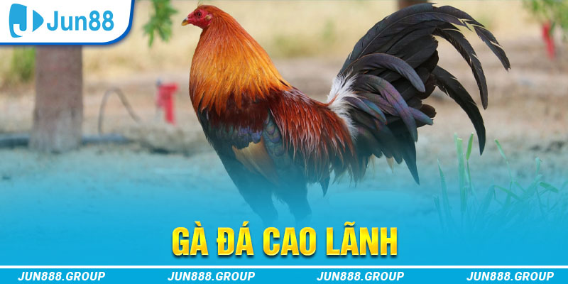 sunwin20 tai game vua bai ve may tinh