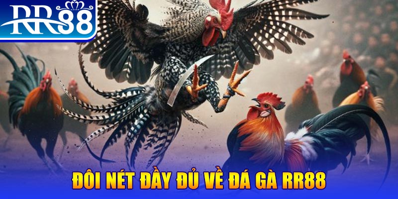 sunwin20 bắn cá h5