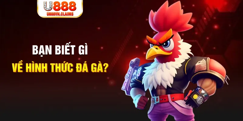 sunwin20 đăng nhập liêng tặng tiền