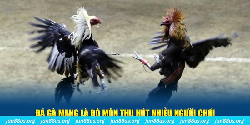 sunwin20 đăng nhập sòng bạc số 1