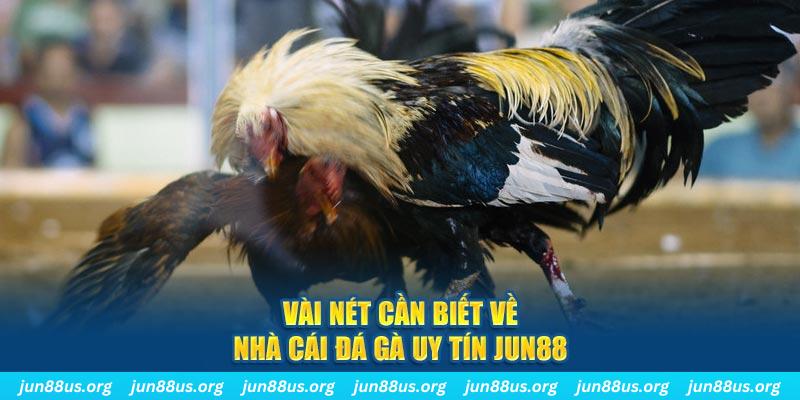 sunwin20 Jones Chuối