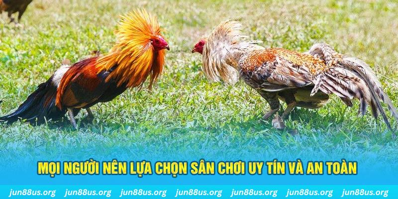 sunwin20 đăng nhập poker 2025