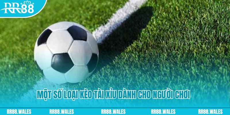 sunwin20 slot nghĩa là gì