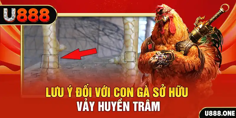 sunwin20 tải game đánh bài tiến lên miền nam về máy tính