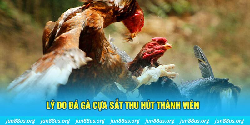 sunwin20 nổ hũ ăn bao nhiêu