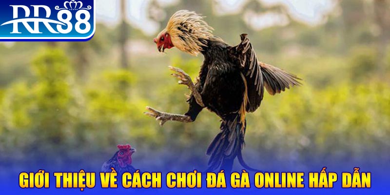 sunwin20 EvoPlay Điện Tử