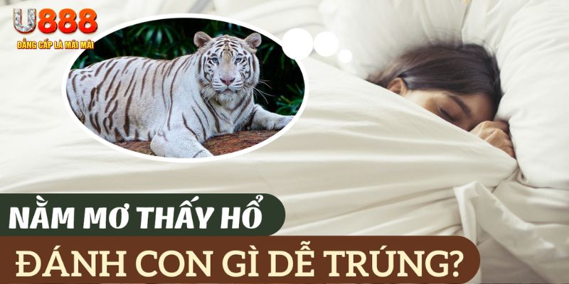 sunwin20 nohu .mx nổ hủ là gì