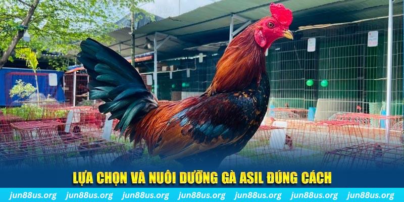 sunwin20 nổ hũ thần tài là gì