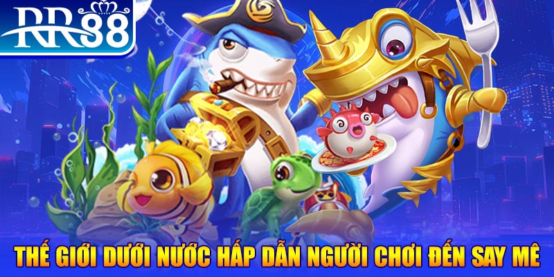 sunwin20 đăng nhập mậu binh dễ thắng