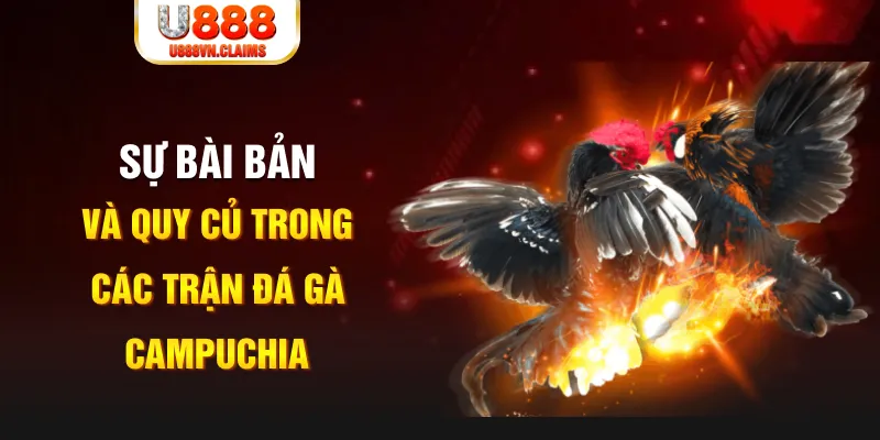 sunwin20 game xếp bài trên máy tính