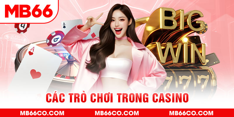 sunwin20 chổi lông gà