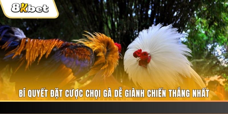 sunwin20 nổ hũ chơi như thế nào