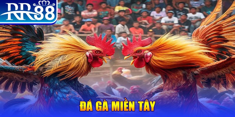 sunwin20 đăng nhập liêng đổi thưởng