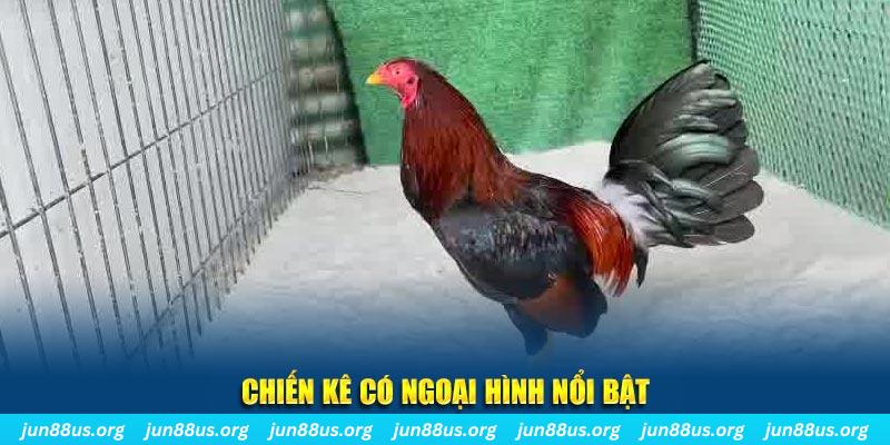 sunwin20 qq88 bắn cá