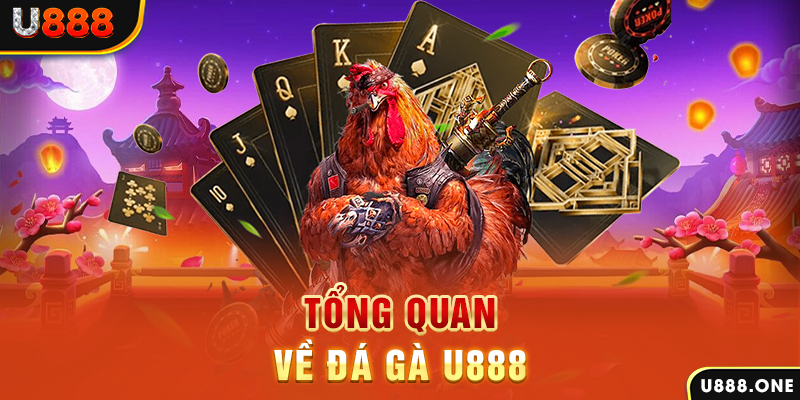 sunwin20 xổ số vietlott