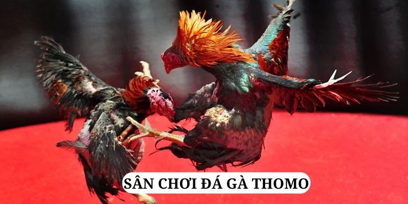 sunwin20 quay nổ hũ là gì