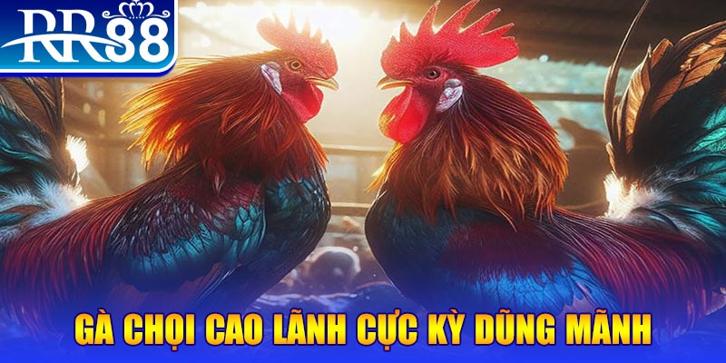 đăng nhập poker live